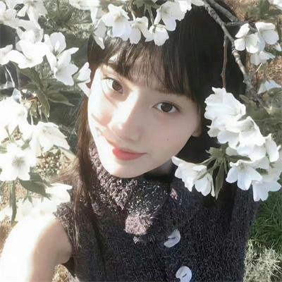 披荆斩棘第五季